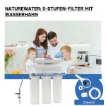 Terpo 5-stopenjski podpultni vodni filter 10 palcev – sediment, granulat, ogljikov blok in zaključna ogljikova vložka