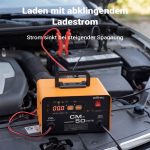 Terpo Polnilec akumulatorja 12–24 V, 16 A, za akumulatorje 30–300 Ah, moč 490 W – LCD zaslon, ročaj za prenašanje