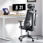 Terpo Ergonomski pisarniški stol z nastavljivim naslonom za glavo, do 150 kg